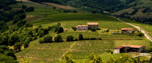 vignobles-beaujolais